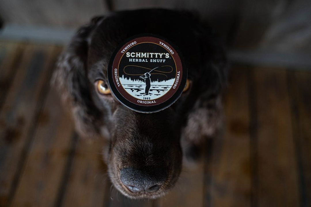 Chewing Tobacco Alternative Reviews